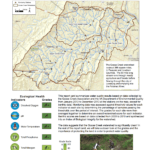REPORT CARD 2014 WEB VERSION 08.14