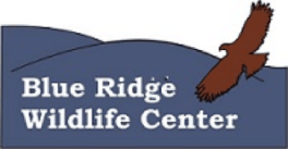 blueridgewildlife