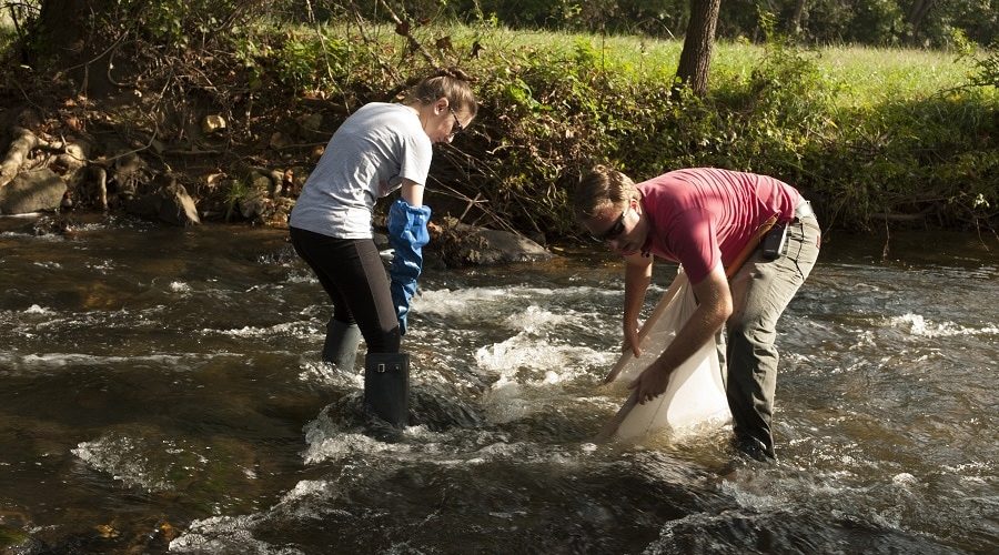 The 50 Year Fight to Preserve Goose Creek – Middleburg Life Article August 2020