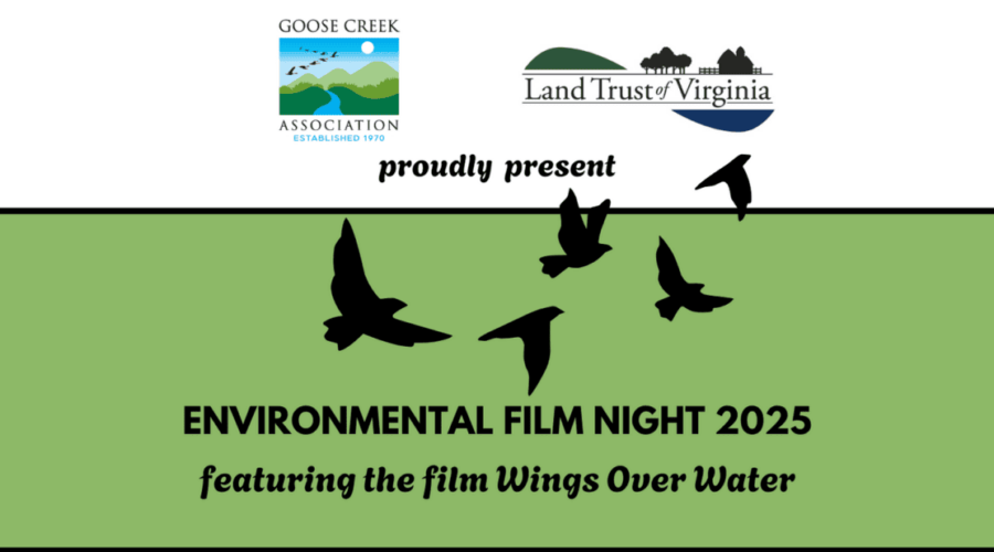 2025 Free Environmental Film Night: Wings Over Water – 2/28/25