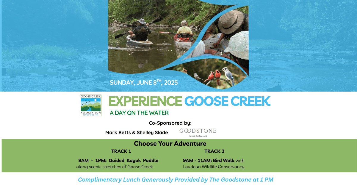 Experience Goose Creek: A Day on the Water