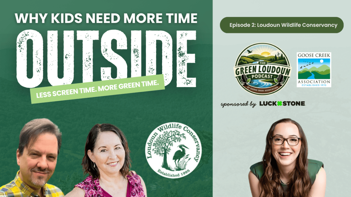 2 The Green Loudoun Podcast Episode 2 Loudoun Wildlife Conservancy Why Kids Need More Time Outside Less Screen Time More Green Time