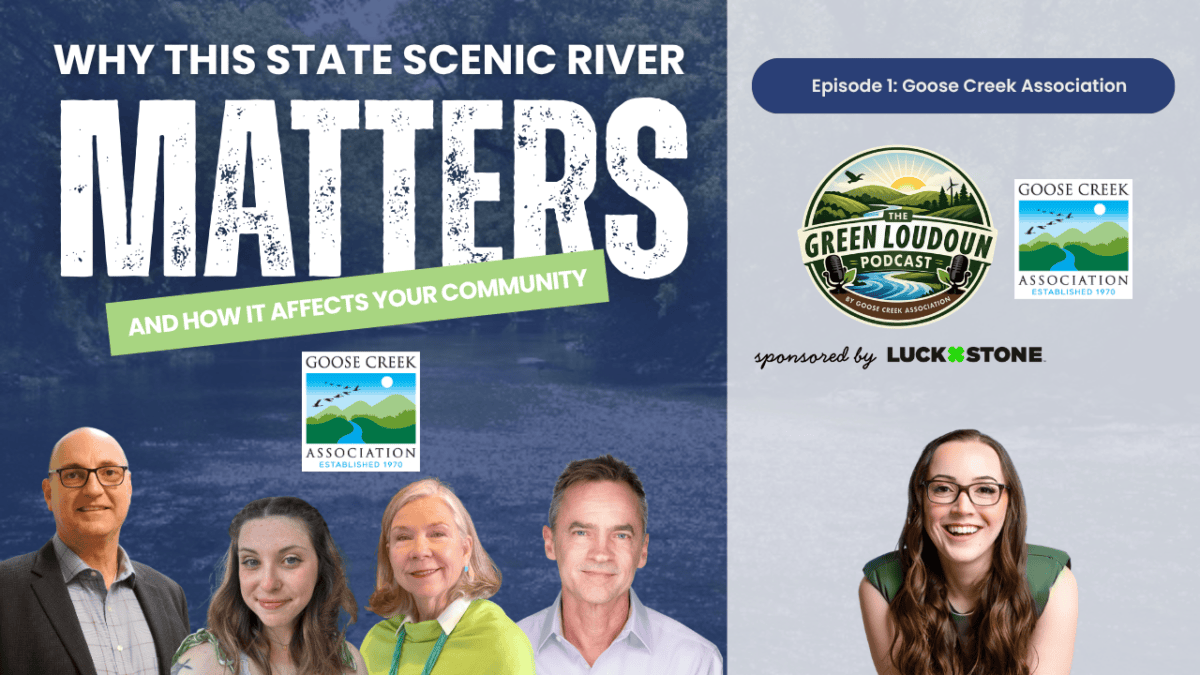 Episode 1 Goose Creek Association The Green Loudoun Podcast Episode 1 Goose Creek Association - Why this State Scenic River Matters and How it Affects your Community