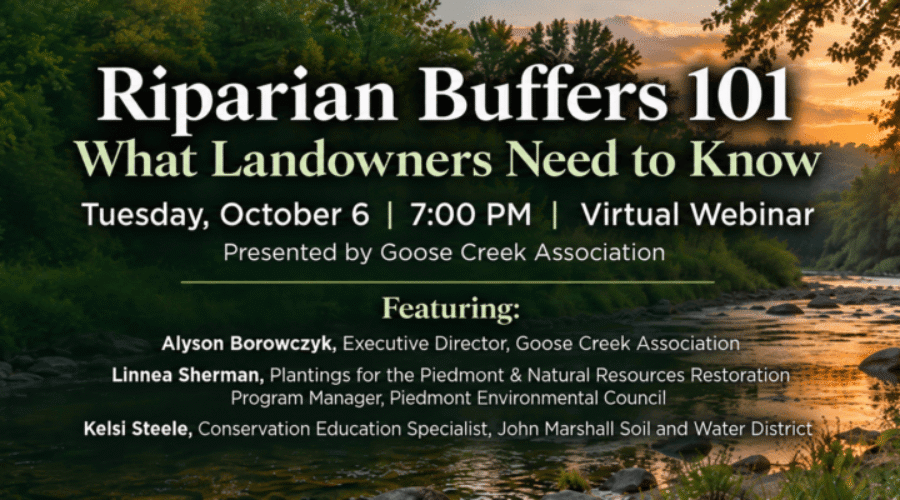 Free Webinar – Riparian Buffers 101 on October 6th at 7 PM