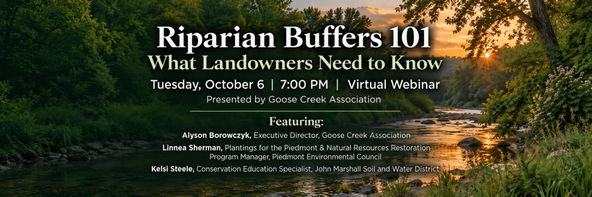Riparian Buffers 101: What Landowners Need to Know Free Webinar October 6 from 7-8 PM